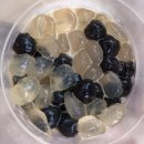 공차 신사세로수길점 이미지