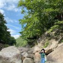 옥룡계곡입구 이미지