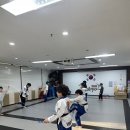 용인대한빛태권도 이미지