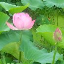 제연농장 이미지