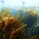 장호2리 이미지