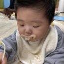 건반위에콩나물 이미지