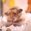 프리원핏 신림점 이미지