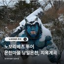 연기사랑마을 | 노보리베츠 투어 당일 지옥계곡 온천마을 도야호수 여행코스