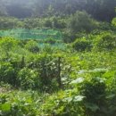 구평동-1 이미지