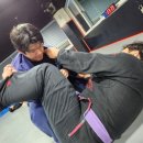 코리아블랙밸트센터태권도장 | 당진주짓수 20년차 블랙벨트 클라스! 당진주짓수아카데미 후기