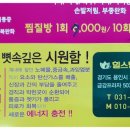 힐스템 주열테라피 네이버블로그