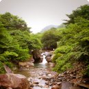 청학펜션 이미지