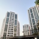 응암초교 | 서울특별시 은평구 백련산파크자이 / 25년 6월 임장기