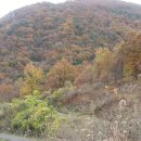 호애농장 이미지