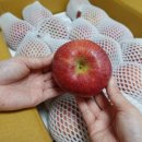 사광농장 네이버블로그