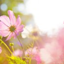 투엠치과의원 이미지