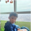 제일빌딩 | 타이베이 101빌딩 방문 후기 | 101빌딩 전망대, 오타니 50호 홈런볼, 댐퍼
