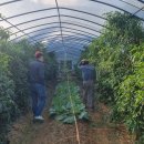 이소농장 이미지