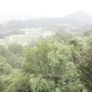 한반도면-15 이미지