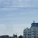 태리약국 | [Tokyo✈️] 몸살과 함께 한 2박 3일