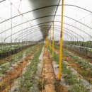 찬희농장 이미지