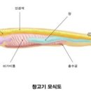 물고기상점 이미지
