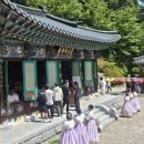 심원사 - 1771 | 심원사