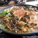 삼육오감자탕 이미지