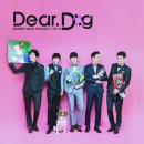 디어도그 이미지