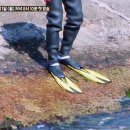 십분순삭 이미지