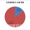 인천국제공항공사(탑승교) 이미지