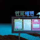 안목커피 이미지