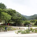 중촌보건진료소 | [1000m 봉우리를 찾아서] 경남 거창의 흰대미산에서 단지봉까지①_양각지맥과 수도지맥을 걸었다.