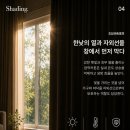 사계절커튼