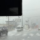 강정동-55 이미지