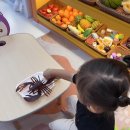 돔수산초밥 이미지