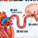 김영조 심혈을기울이는내과의원 네이버블로그