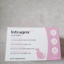 인트라젠 | 고양이 설사, 묽은 변에 직빵? 인트라젠(Intragen) 3개월 급여 후기 🐈 (내돈내산)