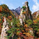 물감 노래연습장 이미지