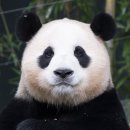제이복권방 이미지