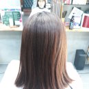 최가 미장 이미지