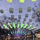 선이네 회먹고가자 | 강릉 중앙시장 회포장 대방어 광어 도마횟집 내돈내산 후기