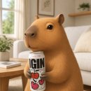 GS25청학현대점 | GS25 신상 하이볼, BTS 진·백종원의 아이긴 새콤토닉 직접 마셔본 솔직 후기