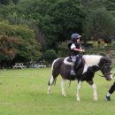 바모스하우스 이미지