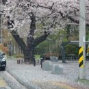 박천경공인중개사사무소 이미지