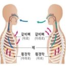 도덕경 제15장 '호흡과 생명(Breath and life)’ 이미지