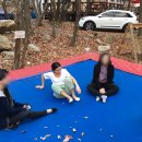 릴리케이 이미지
