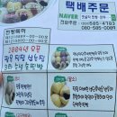 옛설악찐빵·만두