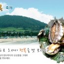 노화읍-3 이미지