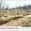 상주부동산