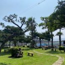 제주도 게스트하우스 파티 빅썸 이미지