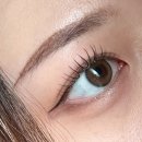 렌즈미(송탄점) | [렌즈미] 유스핏 렌즈 (브라운, 올리브 후기) 고윤정 렌즈 추천 / 웜톤 렌즈 추천 (렌즈미 렌세페...