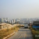 낙산 Daum카페