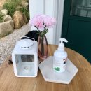 그린애견 이미지